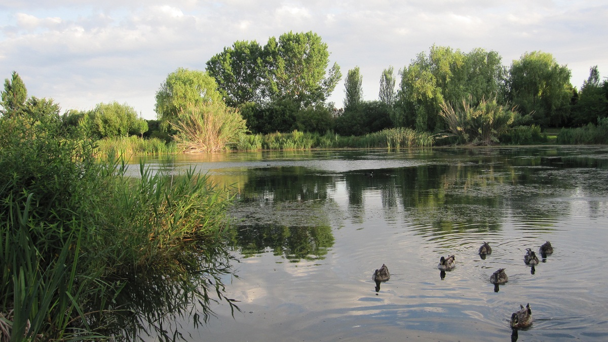 Ullal de l'Estany